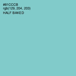 #81CCCB - Half Baked Color Image