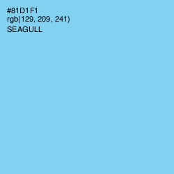 #81D1F1 - Seagull Color Image