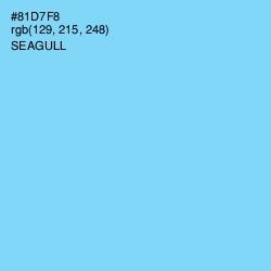 #81D7F8 - Seagull Color Image