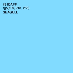 #81DAFF - Seagull Color Image