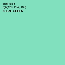 #81E0BD - Algae Green Color Image