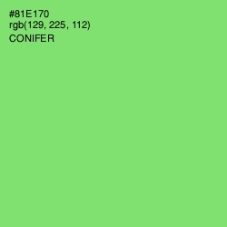 #81E170 - Conifer Color Image