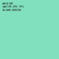 #81E1BF - Algae Green Color Image