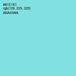 #81E1E1 - Anakiwa Color Image