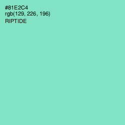 #81E2C4 - Riptide Color Image