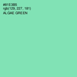 #81E3B5 - Algae Green Color Image