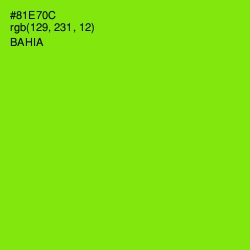 #81E70C - Bahia Color Image
