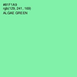 #81F1A9 - Algae Green Color Image