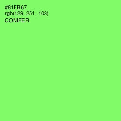 #81FB67 - Conifer Color Image