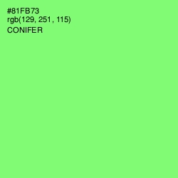 #81FB73 - Conifer Color Image