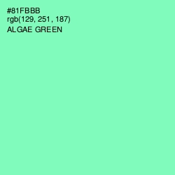 #81FBBB - Algae Green Color Image