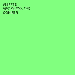 #81FF7E - Conifer Color Image