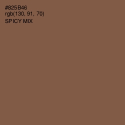 #825B46 - Spicy Mix Color Image