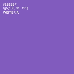 #825BBF - Wisteria Color Image