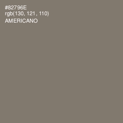 #82796E - Americano Color Image