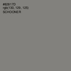#82817D - Schooner Color Image