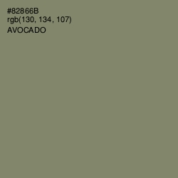 #82866B - Avocado Color Image