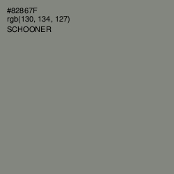 #82867F - Schooner Color Image