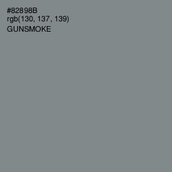 #82898B - Gunsmoke Color Image