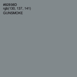 #82898D - Gunsmoke Color Image