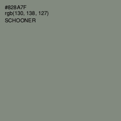 #828A7F - Schooner Color Image