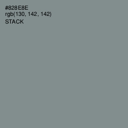 #828E8E - Stack Color Image