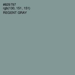 #829797 - Regent Gray Color Image