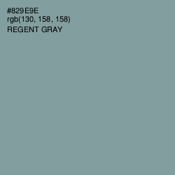 #829E9E - Regent Gray Color Image