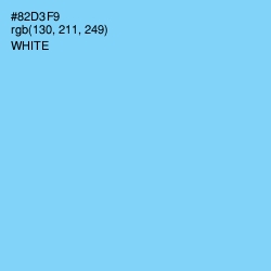 #82D3F9 - Seagull Color Image