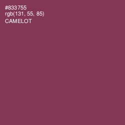 #833755 - Camelot Color Image