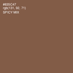 #835C47 - Spicy Mix Color Image