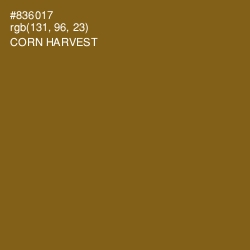 #836017 - Corn Harvest Color Image