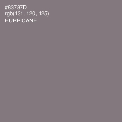 #83787D - Hurricane Color Image