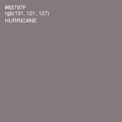 #83797F - Hurricane Color Image