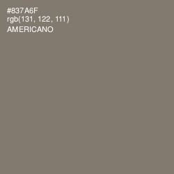 #837A6F - Americano Color Image