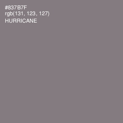 #837B7F - Hurricane Color Image