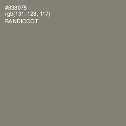 #838075 - Bandicoot Color Image