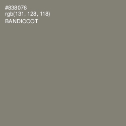 #838076 - Bandicoot Color Image