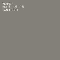 #838077 - Bandicoot Color Image