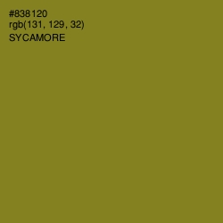 #838120 - Sycamore Color Image