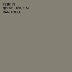 #838173 - Bandicoot Color Image