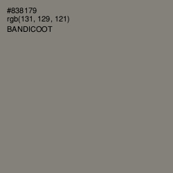 #838179 - Bandicoot Color Image