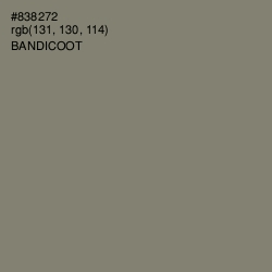 #838272 - Bandicoot Color Image