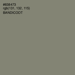 #838473 - Bandicoot Color Image