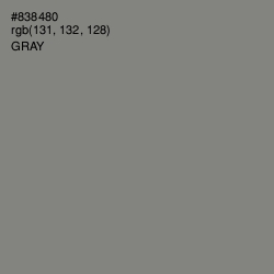 #838480 - Gray Color Image