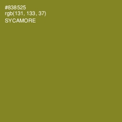 #838525 - Sycamore Color Image