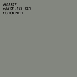 #83857F - Schooner Color Image