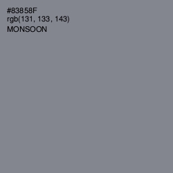 #83858F - Monsoon Color Image