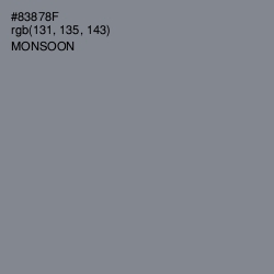 #83878F - Monsoon Color Image