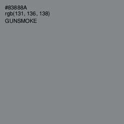 #83888A - Gunsmoke Color Image